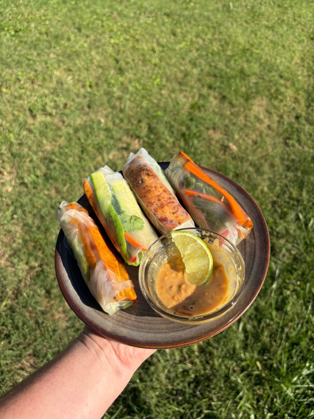 Spring Rolls