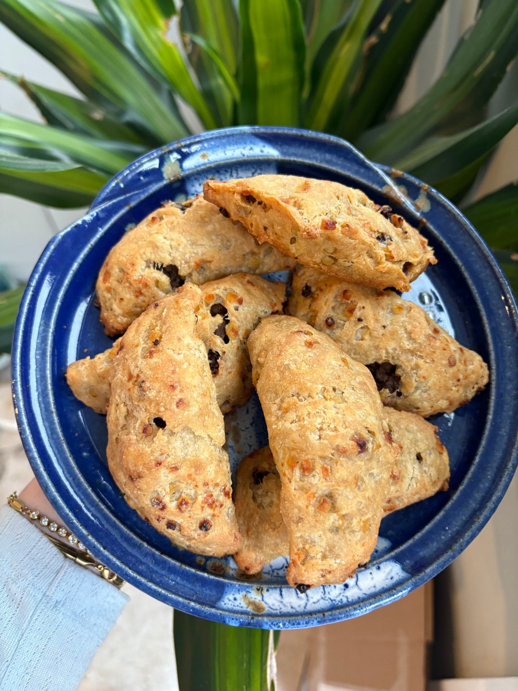 Fresh Milled Venison&nbsp;Empanadas